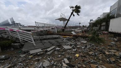 Typhoon Mangkhut