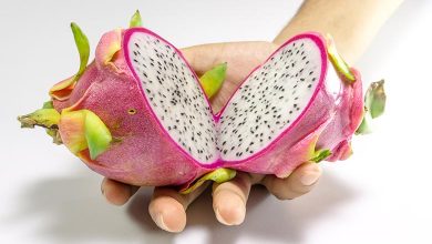 Dragon Fruit