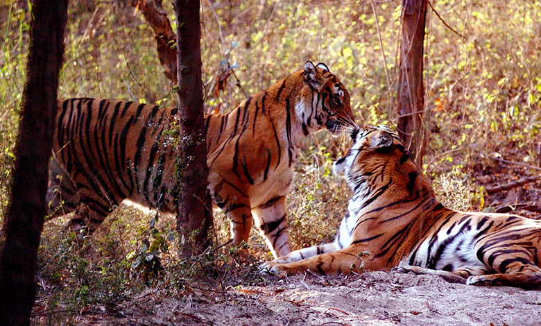 Dudhwa National Park