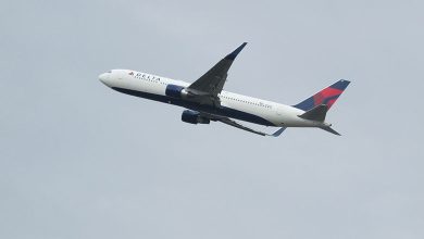 Delta Air Lines