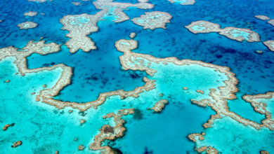 Great Barrier Reef