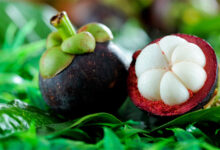 Mangosteen