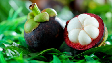 Mangosteen