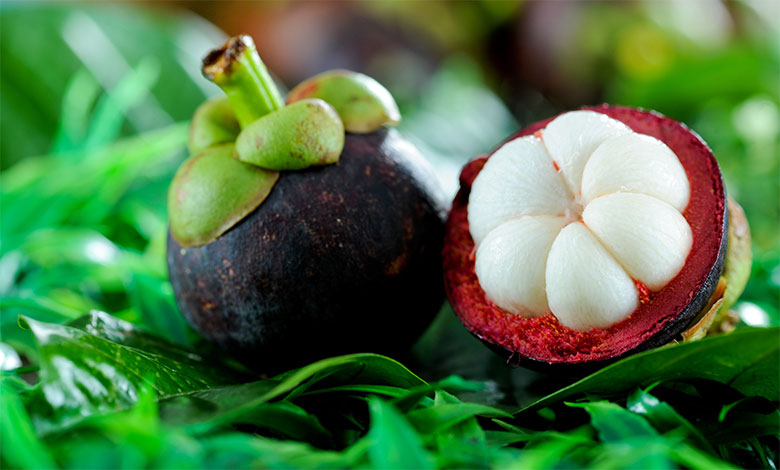 Mangosteen