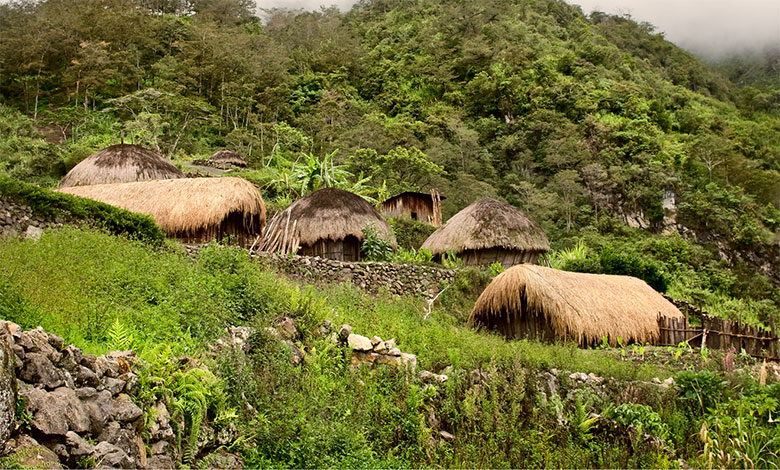 Papua New Guinea