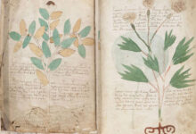 Voynich Manuscript