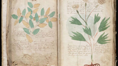 Voynich Manuscript