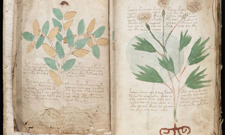 Voynich Manuscript