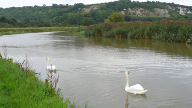 Arun River