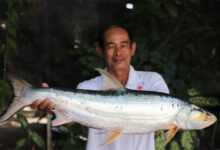 Cambodia