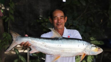 Cambodia