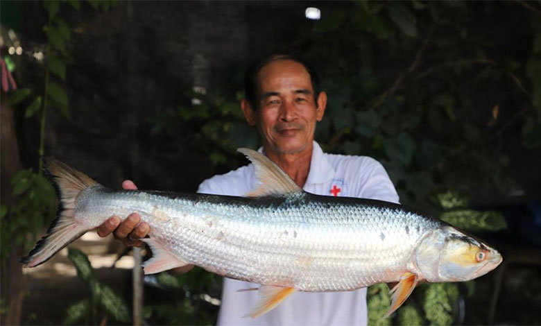 Cambodia