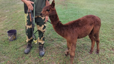 Indian Army