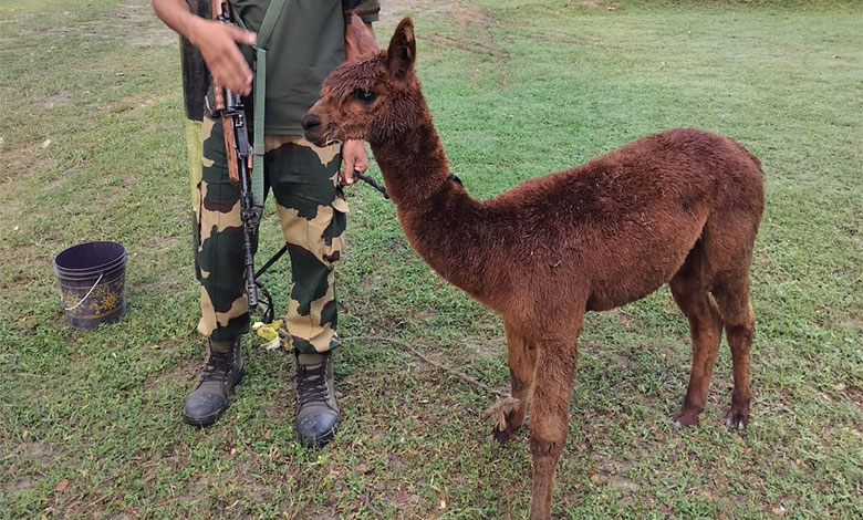 Indian Army