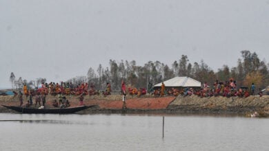 Sundarbans