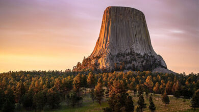 Devils Tower