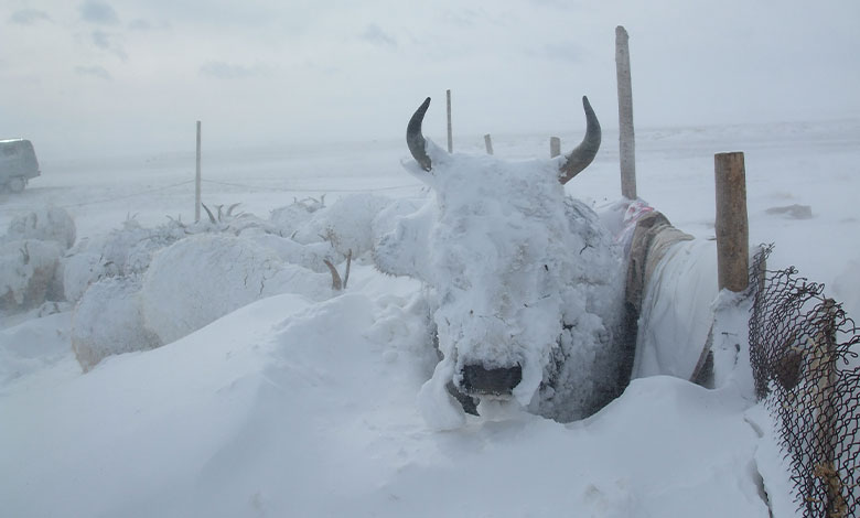 Mongolia