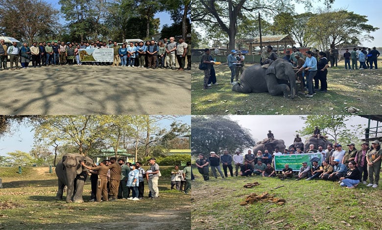 Kaziranga National Park