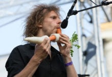 The Vegetable Orchestra