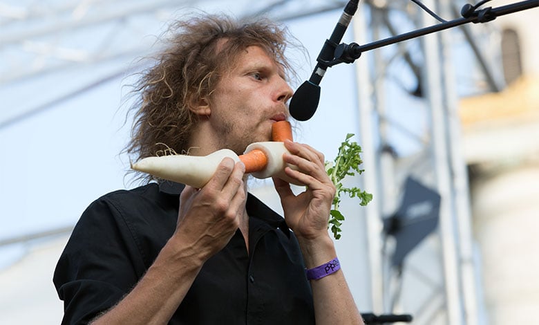 The Vegetable Orchestra